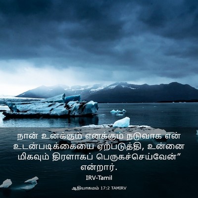 Picture 03 - ஆதியாகமம் 17:2 TAMIRV - நான் உனக்கும் - Bible Verse Picture