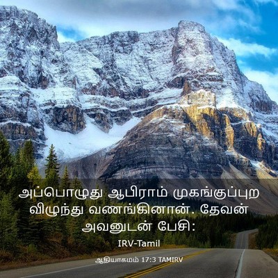 Picture 03 - ஆதியாகமம் 17:3 TAMIRV - அப்பொழுது ஆபிராம் - Bible Verse Picture