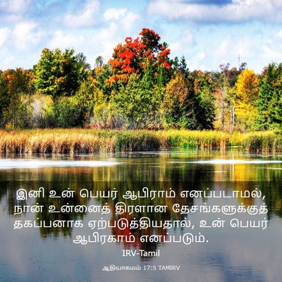 Picture 03 - ஆதியாகமம் 17:5 TAMIRV - இனி உன் பெயர் - Bible Verse Picture