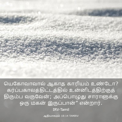 Picture 03 - ஆதியாகமம் 18:14 TAMIRV - யெகோவாவால் ஆகாத - Bible Verse Picture