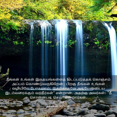 Picture 03 - ஆதியாகமம் 18:5 TAMIRV - நீங்கள் உங்கள் - Bible Verse Picture