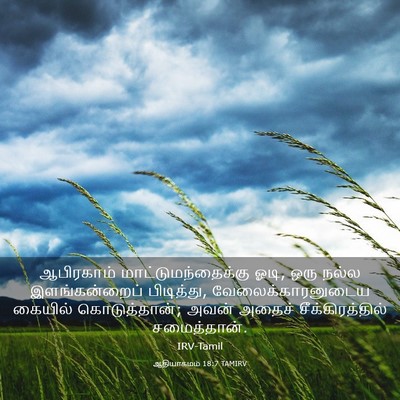 Picture 03 - ஆதியாகமம் 18:7 TAMIRV - ஆபிரகாம் - Bible Verse Picture