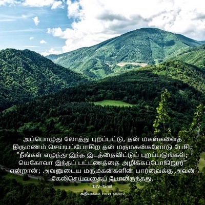 Picture 03 - ஆதியாகமம் 19:14 TAMIRV - அப்பொழுது லோத்து - Bible Verse Picture