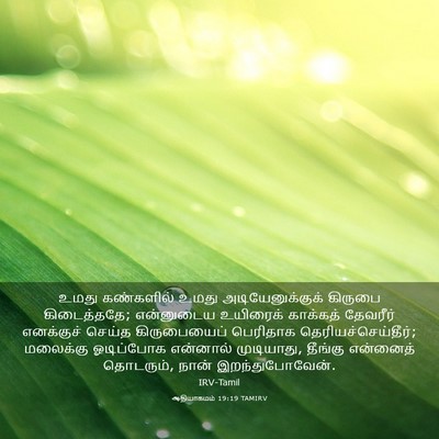 Picture 03 - ஆதியாகமம் 19:19 TAMIRV - உமது கண்களில் - Bible Verse Picture