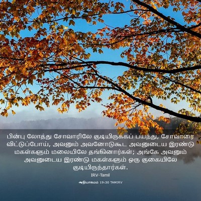 Picture 03 - ஆதியாகமம் 19:30 TAMIRV - பின்பு லோத்து - Bible Verse Picture