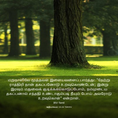 Picture 03 - ஆதியாகமம் 19:34 TAMIRV - மறுநாளிலே - Bible Verse Picture