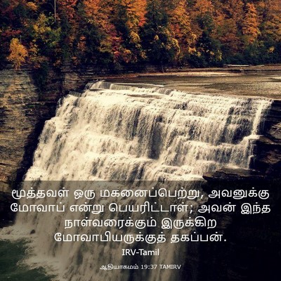 Picture 03 - ஆதியாகமம் 19:37 TAMIRV - மூத்தவள் ஒரு - Bible Verse Picture