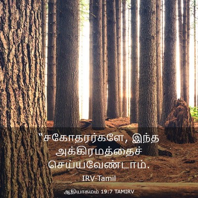Picture 03 - ஆதியாகமம் 19:7 TAMIRV - “சகோதரர்களே, இந்த - Bible Verse Picture