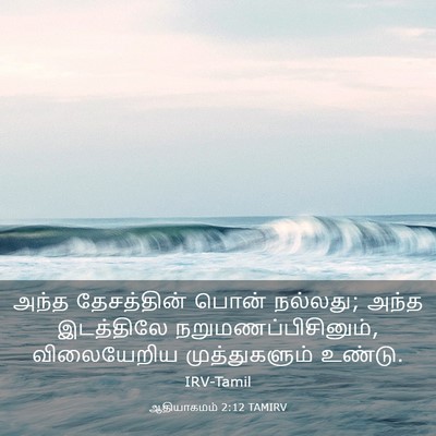 Picture 03 - ஆதியாகமம் 2:12 TAMIRV - அந்த தேசத்தின் - Bible Verse Picture
