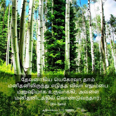 Picture 03 - ஆதியாகமம் 2:22 TAMIRV - தேவனாகிய யெகோவா - Bible Verse Picture