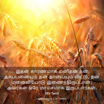Picture 03 - ஆதியாகமம் 2:24 TAMIRV - இதன் காரணமாக - Bible Verse Picture