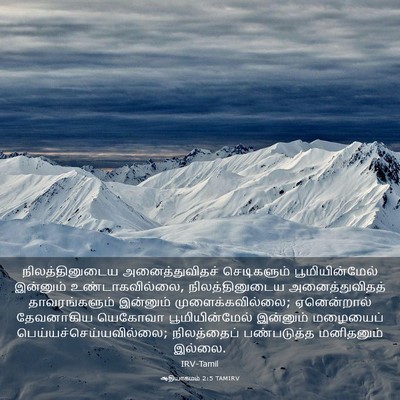 Picture 03 - ஆதியாகமம் 2:5 TAMIRV - நிலத்தினுடைய - Bible Verse Picture