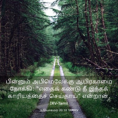 Picture 03 - ஆதியாகமம் 20:10 TAMIRV - பின்னும் - Bible Verse Picture