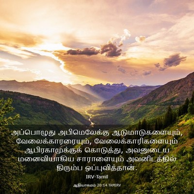 Picture 03 - ஆதியாகமம் 20:14 TAMIRV - அப்பொழுது - Bible Verse Picture