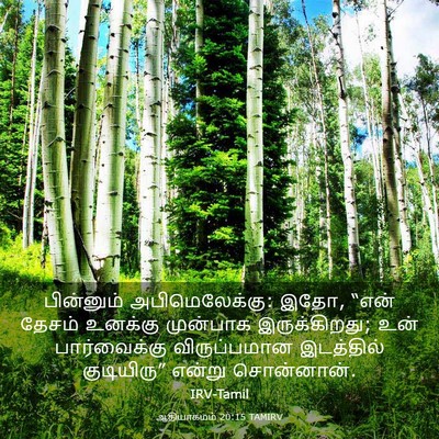 Picture 03 - ஆதியாகமம் 20:15 TAMIRV - பின்னும் - Bible Verse Picture