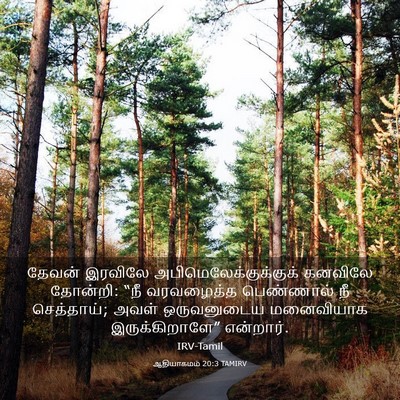 Picture 03 - ஆதியாகமம் 20:3 TAMIRV - தேவன் இரவிலே - Bible Verse Picture