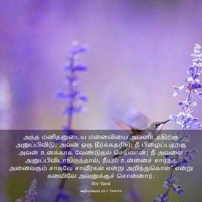 Picture 03 - ஆதியாகமம் 20:7 TAMIRV - அந்த மனிதனுடைய - Bible Verse Picture