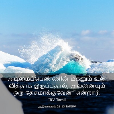 Picture 03 - ஆதியாகமம் 21:13 TAMIRV - அடிமைப்பெண்ணின் - Bible Verse Picture