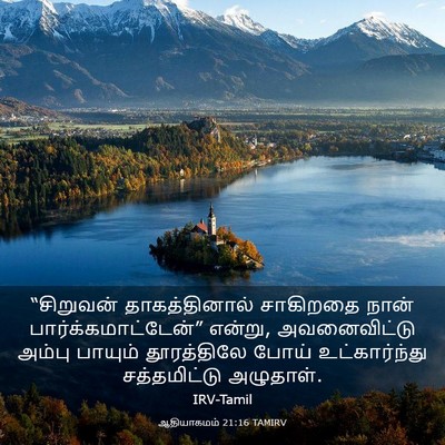 Picture 03 - ஆதியாகமம் 21:16 TAMIRV - “சிறுவன் - Bible Verse Picture