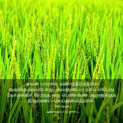 Picture 03 - ஆதியாகமம் 21:21 TAMIRV - அவன் பாரான் - Bible Verse Picture
