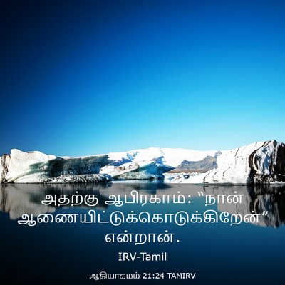 Picture 03 - ஆதியாகமம் 21:24 TAMIRV - அதற்கு ஆபிரகாம்: - Bible Verse Picture