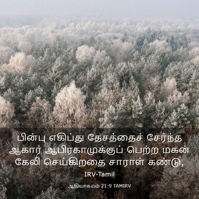 Picture 03 - ஆதியாகமம் 21:9 TAMIRV - பின்பு எகிப்து - Bible Verse Picture