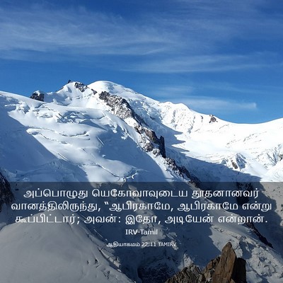 Picture 03 - ஆதியாகமம் 22:11 TAMIRV - அப்பொழுது - Bible Verse Picture