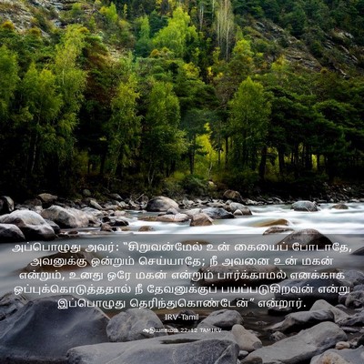 Picture 03 - ஆதியாகமம் 22:12 TAMIRV - அப்பொழுது அவர்: - Bible Verse Picture