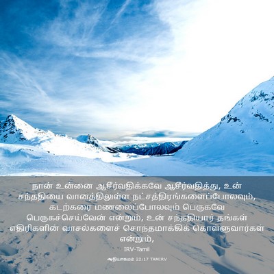 Picture 03 - ஆதியாகமம் 22:17 TAMIRV - நான் உன்னை - Bible Verse Picture