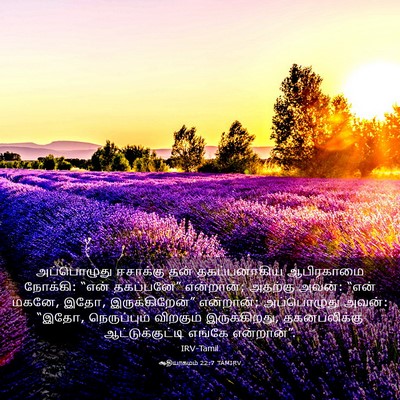 Picture 03 - ஆதியாகமம் 22:7 TAMIRV - அப்பொழுது ஈசாக்கு - Bible Verse Picture