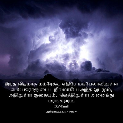 Picture 03 - ஆதியாகமம் 23:17 TAMIRV - இந்த விதமாக - Bible Verse Picture
