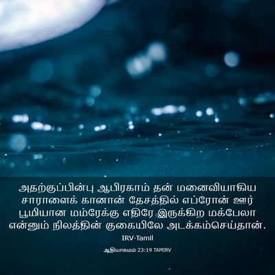 Picture 03 - ஆதியாகமம் 23:19 TAMIRV - அதற்குப்பின்பு - Bible Verse Picture