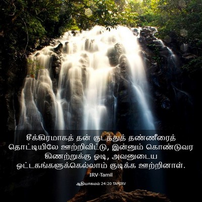 Picture 03 - ஆதியாகமம் 24:20 TAMIRV - சீக்கிரமாகத் தன் - Bible Verse Picture