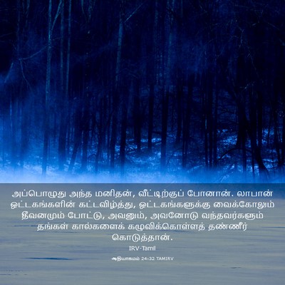 Picture 03 - ஆதியாகமம் 24:32 TAMIRV - அப்பொழுது அந்த - Bible Verse Picture