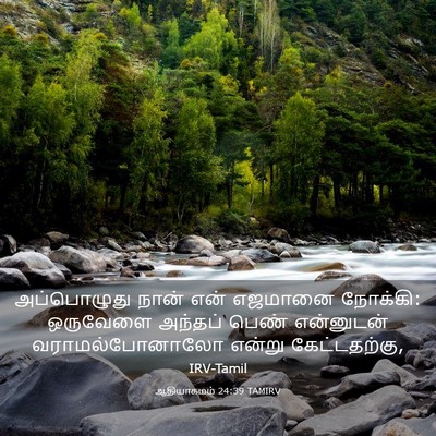 Picture 03 - ஆதியாகமம் 24:39 TAMIRV - அப்பொழுது நான் - Bible Verse Picture