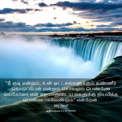 Picture 03 - ஆதியாகமம் 24:44 TAMIRV - “நீ குடி என்றும், - Bible Verse Picture