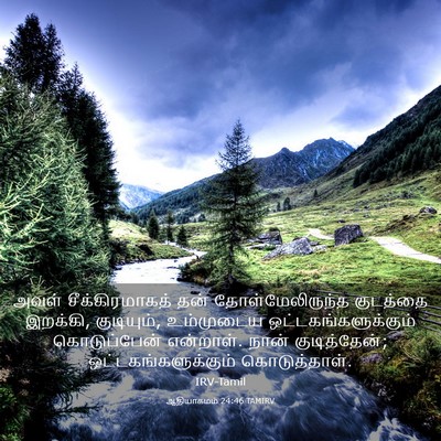 Picture 03 - ஆதியாகமம் 24:46 TAMIRV - அவள் சீக்கிரமாகத் - Bible Verse Picture