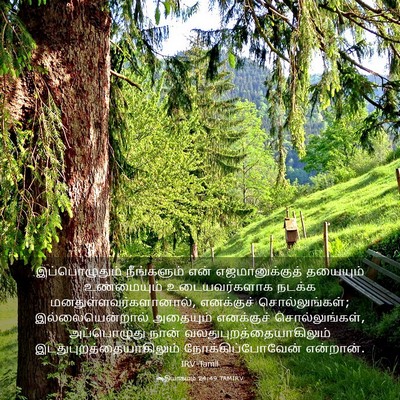 Picture 03 - ஆதியாகமம் 24:49 TAMIRV - இப்பொழுதும் - Bible Verse Picture