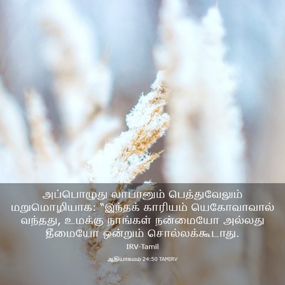 Picture 03 - ஆதியாகமம் 24:50 TAMIRV - அப்பொழுது - Bible Verse Picture
