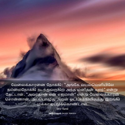 Picture 03 - ஆதியாகமம் 24:65 TAMIRV - வேலைக்காரனை - Bible Verse Picture