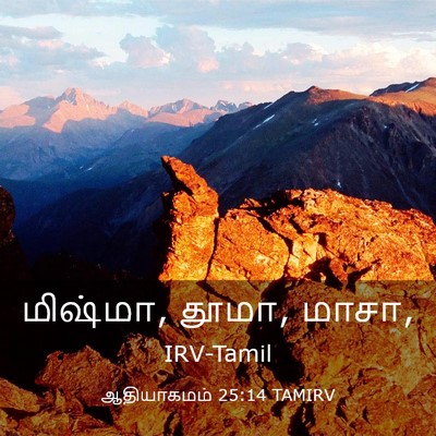 Picture 03 - ஆதியாகமம் 25:14 TAMIRV - மிஷ்மா, தூமா, - Bible Verse Picture