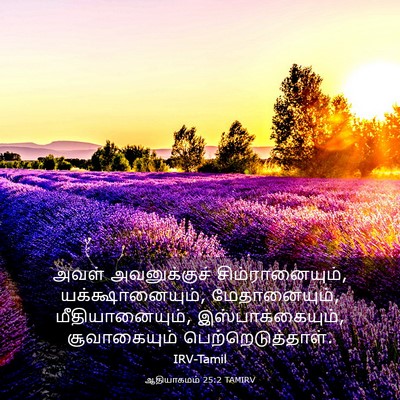 Picture 03 - ஆதியாகமம் 25:2 TAMIRV - அவள் அவனுக்குச் - Bible Verse Picture