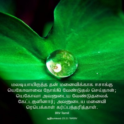Picture 03 - ஆதியாகமம் 25:21 TAMIRV - மலடியாயிருந்த தன் - Bible Verse Picture