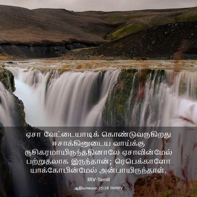 Picture 03 - ஆதியாகமம் 25:28 TAMIRV - ஏசா வேட்டையாடிக் - Bible Verse Picture