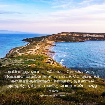 Picture 03 - ஆதியாகமம் 25:30 TAMIRV - அப்பொழுது ஏசா - Bible Verse Picture