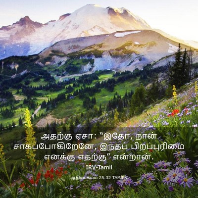 Picture 03 - ஆதியாகமம் 25:32 TAMIRV - அதற்கு ஏசா: “இதோ, - Bible Verse Picture