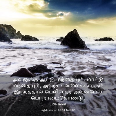 Picture 03 - ஆதியாகமம் 26:14 TAMIRV - அவனுக்கு ஆட்டு - Bible Verse Picture
