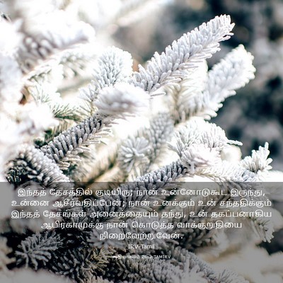 Picture 03 - ஆதியாகமம் 26:3 TAMIRV - இந்தத் தேசத்தில் - Bible Verse Picture