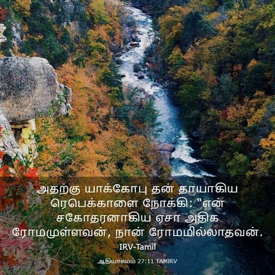Picture 03 - ஆதியாகமம் 27:11 TAMIRV - அதற்கு யாக்கோபு - Bible Verse Picture