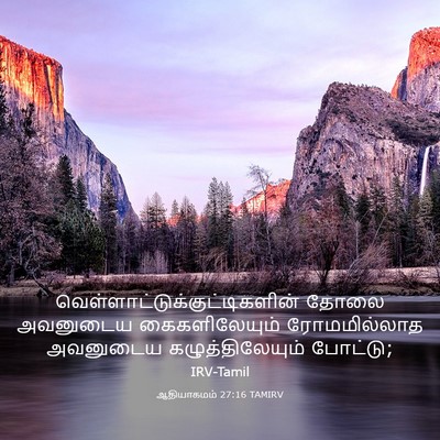 Picture 03 - ஆதியாகமம் 27:16 TAMIRV -  - Bible Verse Picture